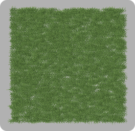 草坪2